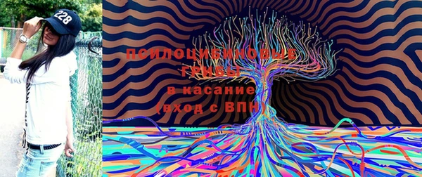 СК Володарск